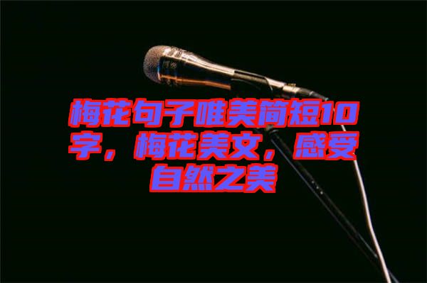 梅花句子唯美簡(jiǎn)短10字，梅花美文，感受自然之美