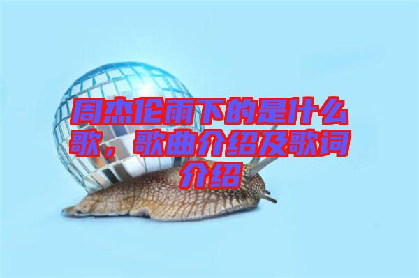 周杰倫雨下的是什么歌，歌曲介紹及歌詞介紹