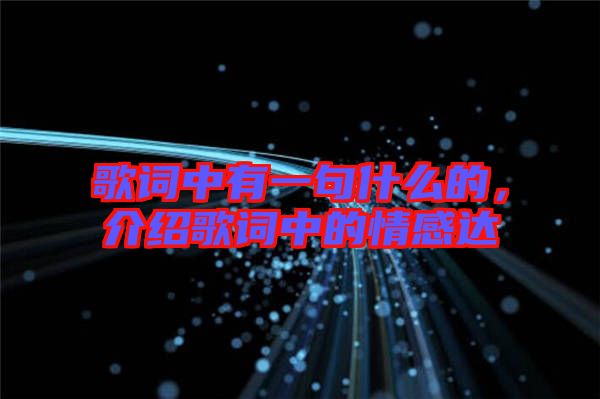 歌詞中有一句什么的，介紹歌詞中的情感達