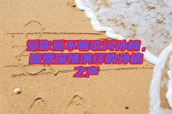 愛(ài)你愛(ài)不夠歌詞孫楠，感受深情演繹的孫楠之聲