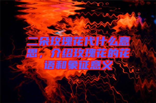 二朵玫瑰花代什么意思，介紹玫瑰花的花語和象征意義