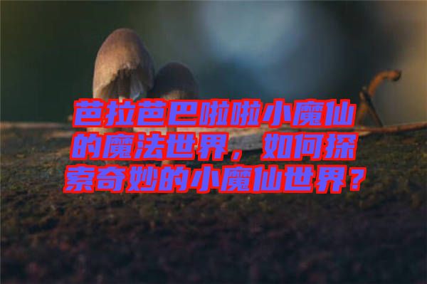 芭拉芭巴啦啦小魔仙的魔法世界，如何探索奇妙的小魔仙世界？