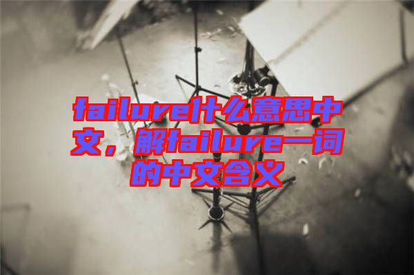 failure什么意思中文，解failure一詞的中文含義