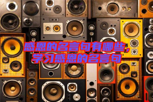 感恩的名言句有哪些，學(xué)習(xí)感恩的名言句