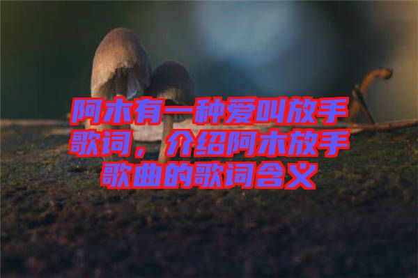 阿木有一種愛叫放手歌詞，介紹阿木放手歌曲的歌詞含義