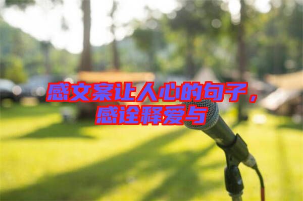 感文案讓人心的句子，感詮釋愛與