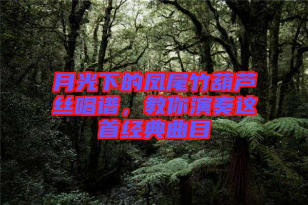 月光下的鳳尾竹葫蘆絲唱譜，教你演奏這首經(jīng)典曲目