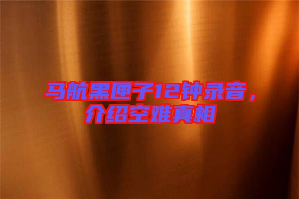 馬航黑匣子12鐘錄音，介紹空難真相