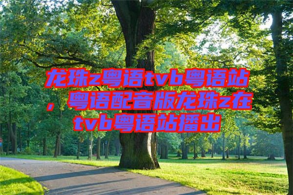 龍珠z粵語(yǔ)tvb粵語(yǔ)站，粵語(yǔ)配音版龍珠z在tvb粵語(yǔ)站播出