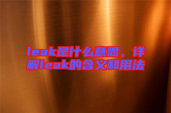 leak是什么意思，詳解leak的含義和用法