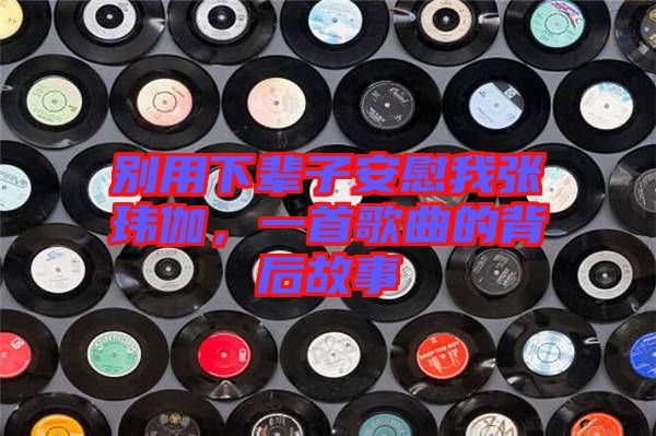 別用下輩子安慰我張瑋伽，一首歌曲的背后故事