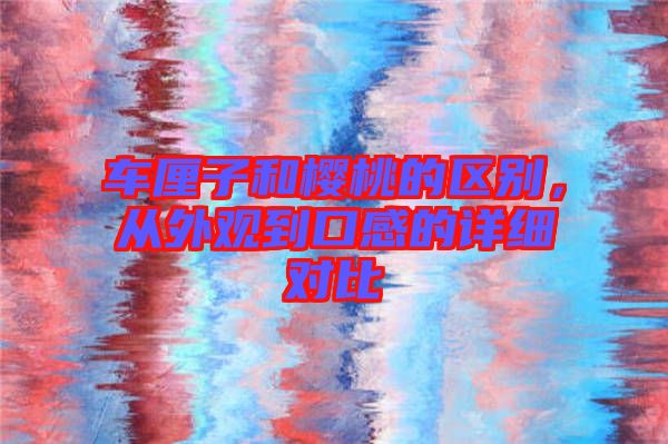 車?yán)遄雍蜋烟业膮^(qū)別，從外觀到口感的詳細(xì)對比