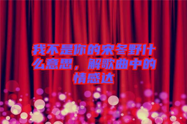 我不是你的宋冬野什么意思，解歌曲中的情感達