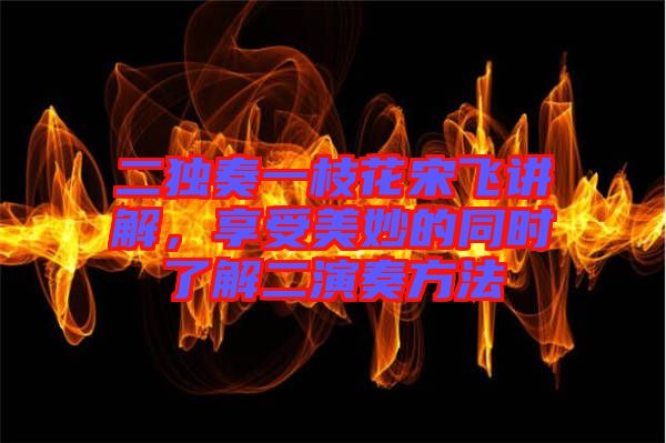 二獨奏一枝花宋飛講解，享受美妙的同時了解二演奏方法