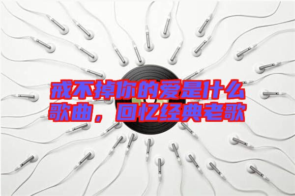 戒不掉你的愛是什么歌曲，回憶經(jīng)典老歌