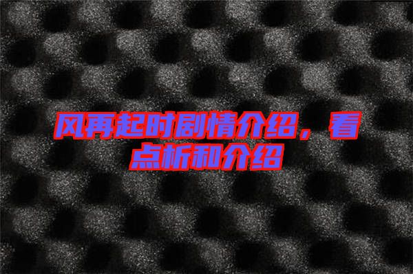 風(fēng)再起時(shí)劇情介紹，看點(diǎn)析和介紹