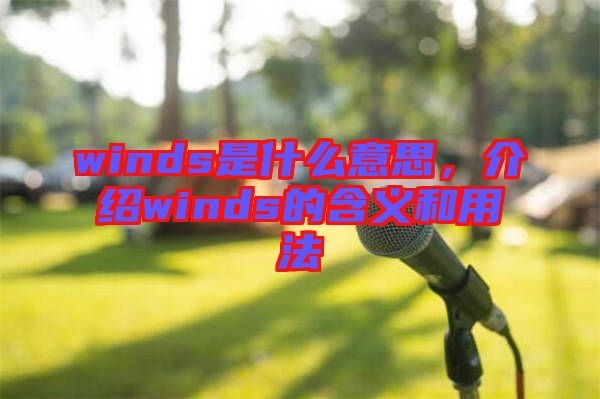 winds是什么意思，介紹winds的含義和用法