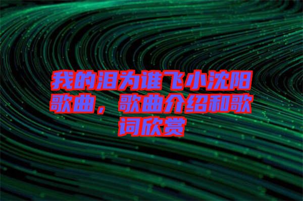 我的淚為誰(shuí)飛小沈陽(yáng)歌曲，歌曲介紹和歌詞欣賞