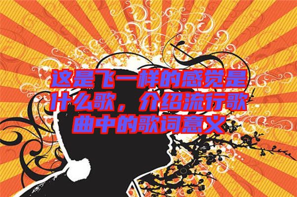 這是飛一樣的感覺是什么歌，介紹流行歌曲中的歌詞意義