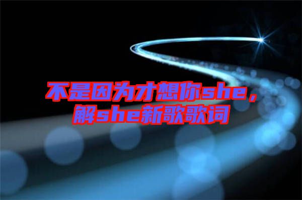 不是因?yàn)椴畔肽鉺he，解she新歌歌詞