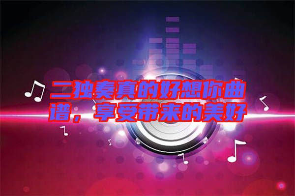 二獨(dú)奏真的好想你曲譜，享受帶來(lái)的美好
