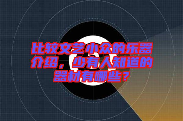 比較文藝小眾的樂器介紹，少有人知道的器材有哪些？