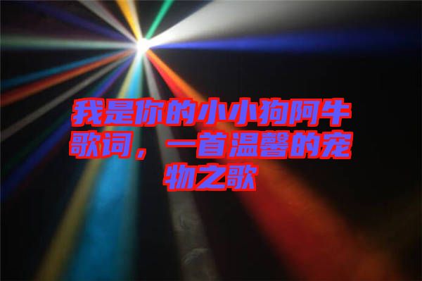 我是你的小小狗阿牛歌詞，一首溫馨的寵物之歌