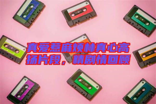 真愛惹麻煩林真心高揚片段，精劇情回顧