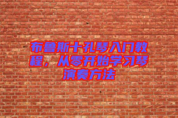 布魯斯十孔琴入門教程，從零開始學(xué)習(xí)琴演奏方法