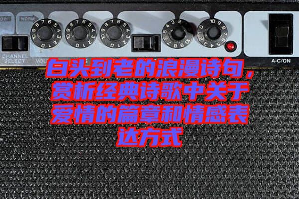 白頭到老的浪漫詩(shī)句，賞析經(jīng)典詩(shī)歌中關(guān)于愛(ài)情的篇章和情感表達(dá)方式