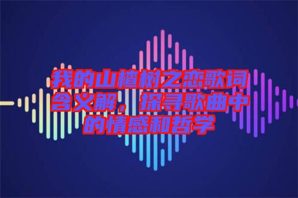 我的山楂樹(shù)之戀歌詞含義解，探尋歌曲中的情感和哲學(xué)