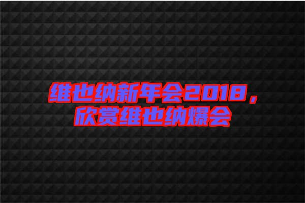 維也納新年會2018，欣賞維也納爆會
