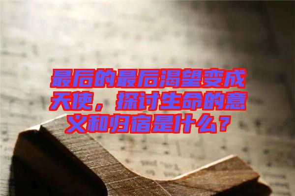 最后的最后渴望變成天使，探討生命的意義和歸宿是什么？
