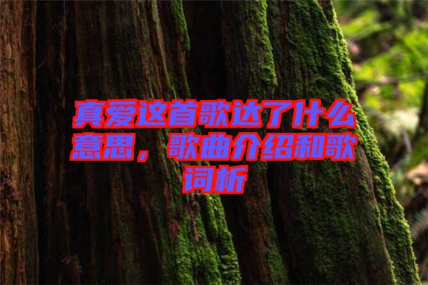 真愛這首歌達(dá)了什么意思，歌曲介紹和歌詞析