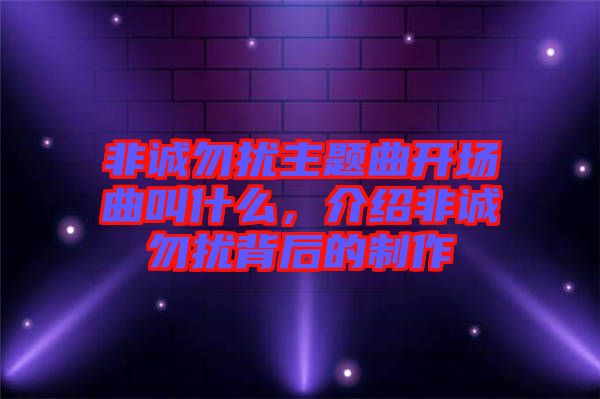 非誠勿擾主題曲開場曲叫什么，介紹非誠勿擾背后的制作