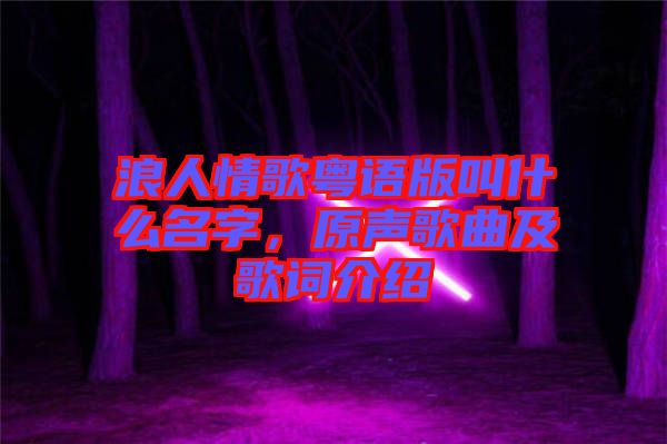 浪人情歌粵語(yǔ)版叫什么名字，原聲歌曲及歌詞介紹