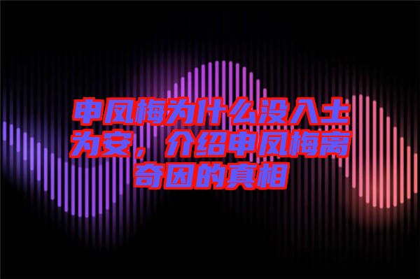 申鳳梅為什么沒(méi)入土為安，介紹申鳳梅離奇因的真相