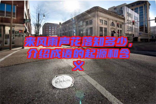 來(lái)風(fēng)雨聲花落知多少，介紹成語(yǔ)的起源和含義