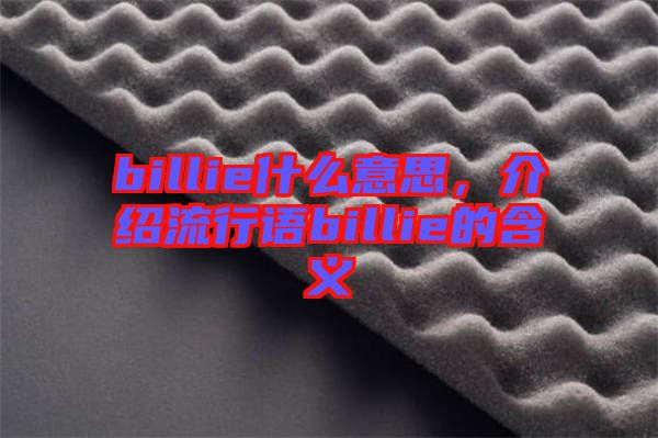 billie什么意思，介紹流行語(yǔ)billie的含義