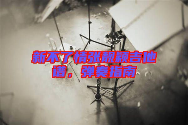 新不了情張靚穎吉他譜，彈奏指南