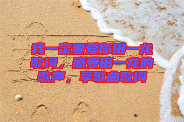 我一定要愛你田一龍歌詞，感受田一龍的歌聲，享歌曲歌詞