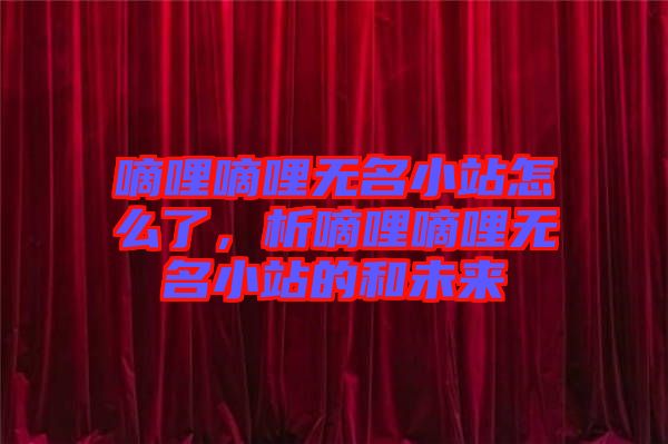 嘀哩嘀哩無名小站怎么了，析嘀哩嘀哩無名小站的和未來