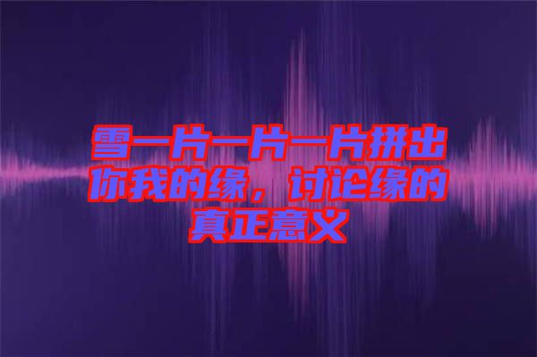 雪一片一片一片拼出你我的緣，討論緣的真正意義