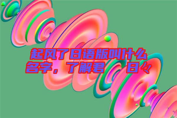 起風(fēng)了日語版叫什么名字，了解君といた日々