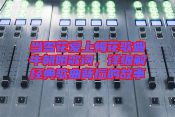當(dāng)雪花愛上梅花歌曲牛朝陽歌詞，詳細(xì)解經(jīng)典歌曲背后的故事