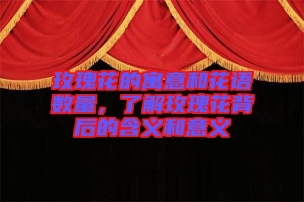 玫瑰花的寓意和花語數(shù)量，了解玫瑰花背后的含義和意義