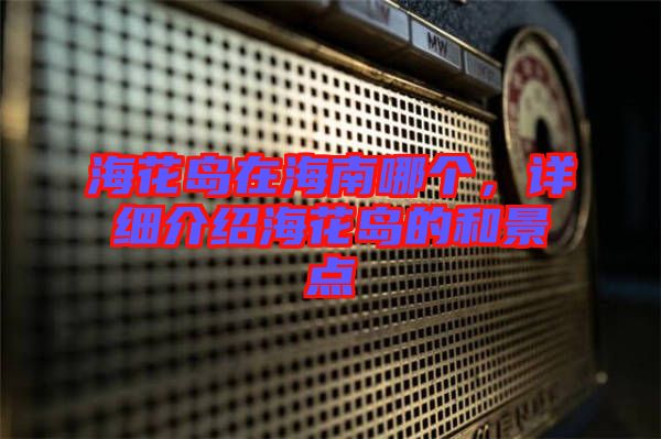 ?；◢u在海南哪個，詳細介紹海花島的和景點