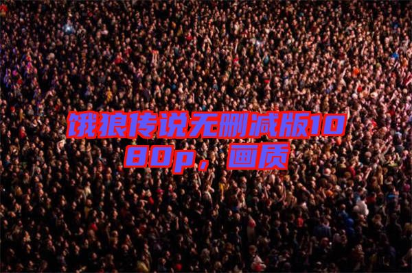 餓狼傳說無刪減版1080p，畫質(zhì)