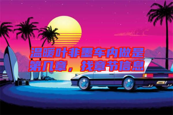 溫暖葉非墨車內(nèi)做是第幾章，找章節(jié)信息