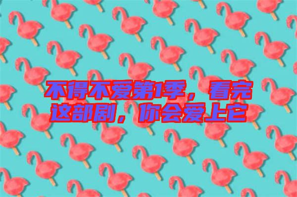 不得不愛第1季，看完這部劇，你會(huì)愛上它